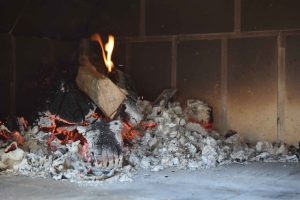 DSC 0208 2560w 1024x683 1