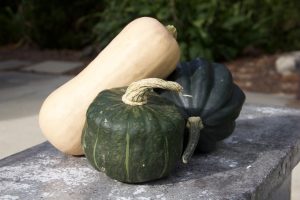 fullsizeoutput 365 1024x683 1